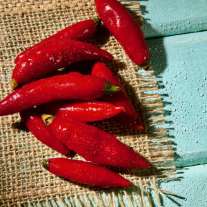 Chilli Pepper Red Glow